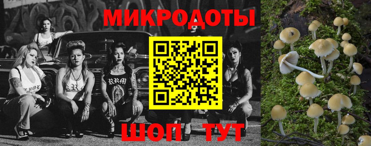 Псилоцибиновые грибы Cubensis Чистополь
